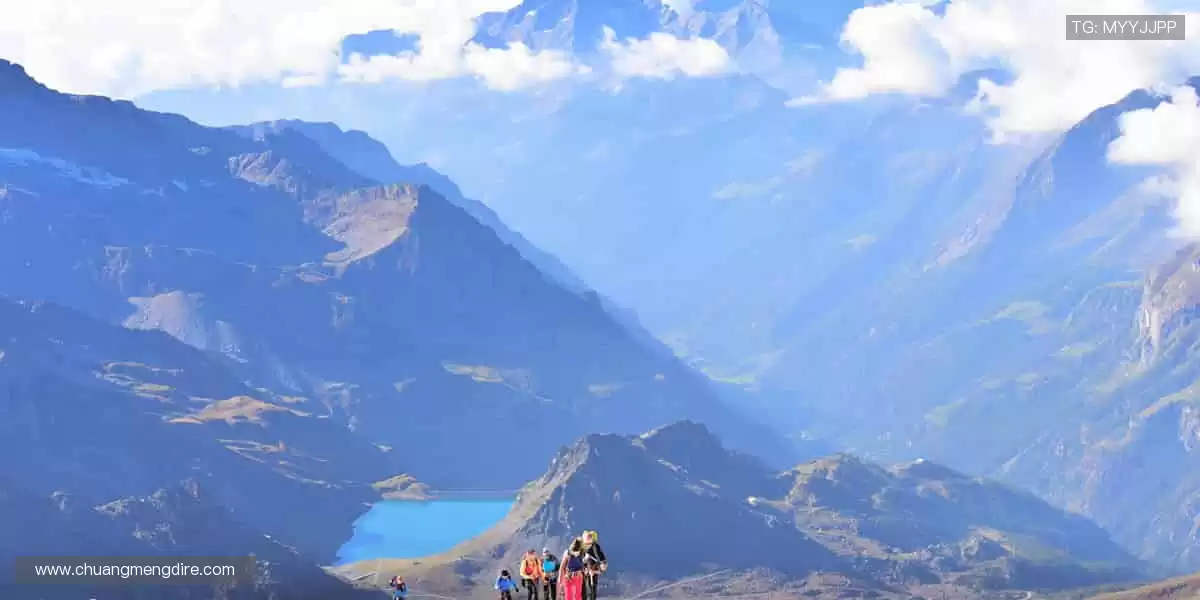 高清画质，畅享赛事！🎥🏒